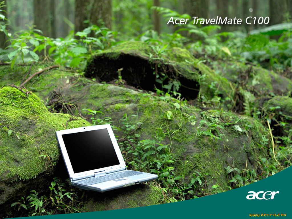 , acer